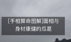 手相算命图解:探讨面相与身材康健的相关性