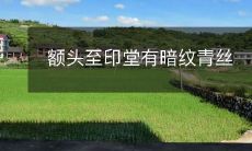 纵横交错，勾勒出细腻眉宇，从额头贯穿至印堂的神秘暗纹，如同一条灵动的青丝，缭绕在人们的心头