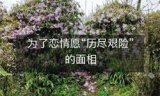 在爱情路上,我们愿意经历一切挑战,为了最终得到那个人,即便是历尽艰难险阻也在所不惜——探讨面相在恋爱中的角色