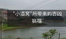 《小酒窝》歌曲所带来的吉凶祸福:浅谈其影响与作用