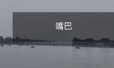 能否打开得越大，就能说出越多的话？——探讨嘴巴大小与言语能力之间的关系