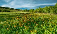 探秘面相旺夫的奥秘：哪种面相类型是最有助于旺丈夫财运的呢？