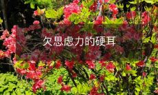 如何提高思虑力并避免成为一个毫无思考的机械硬耳人？