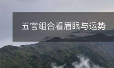 通过五官组合解读运势:从眉毛和眼睛入手看究竟