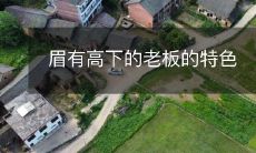 分析眉形的老板:通过观察上下高低,发现其独特个性与领导风格