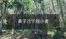 不仅影响面部轮廓，还可能对身体健康造成潜在威胁的鼻子短小问题