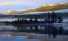 属狗男狗配何生肖最为合适?以及属牛女与其伴侣构建充满爱意的幸福家庭之道