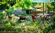 佛经中的启示：外貌出众但运势不济的人的相貌特征分析