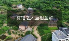 解析每一个细节,揭开福气之人的神秘谜底:面相详细解读