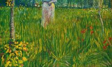 男人手小,是否预示着财运低迷?探究其相貌特征和心理因素对财富表现的影响