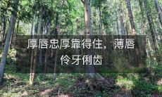 厚唇坚定忠诚可信赖，薄唇机智伶牙俐齿不容小觑