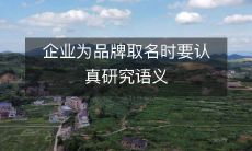 与文化背景,以确保名称符合消费者的价值观和期望