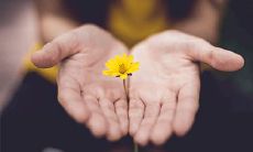 什么意思？右手根部出现痣会有什么暗示？如何研究手部痣文？