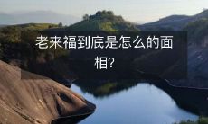 老来福的相面特征有哪些?详细解析老来福的相貌特点!