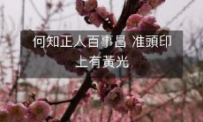 刻意打造准确印象:何知正人以百事昌盛,其准頭印章更附有璀璨黄光!
