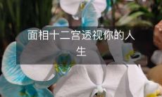 面相十二宫透视你的人生:解析你的命运、性格和未来趋势