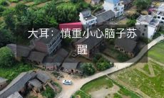 大耳警惕提醒:要小心谨慎,尤其当脑子开始苏醒时!