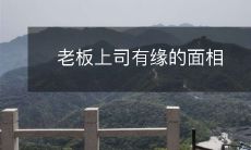 通过面相识别:老板和上司是否有缘份的详细指南