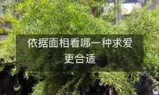 根据面相研究,哪种求爱方式更适合您的个性特点?
