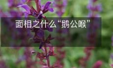 探寻面相学中的神秘之一——解读“鹅公喉”相位的意义