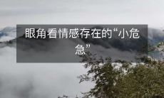 从眼角角度探讨情感存在的微妙危机