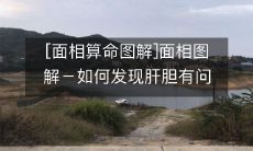 [中医面相学]面相图解-如何凭借面相观察发现肝胆亚健康状况