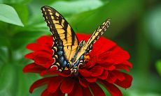 风象星座在职场和感情生活中如何寻找并获得稳固的安全感?