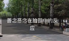 善意和恶意思维对人脸表情的影响：探究善念和恶念在面部反应中的作用机制