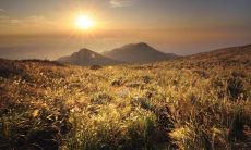 具有左手断掌的女性最适合嫁给哪类男人？她们是有利于夫运还是可能会克制其配偶的？