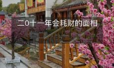 别让二零二一年的春节费用大涨,学会如何识别会耗财的面相!