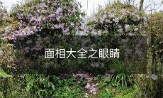 「全面解析人类面相学——眼睛的特征与意义」