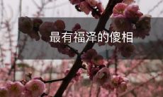 探究哪些傻相可为人带来最大福泽的研究