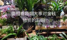 探讨面相看待婚姻大事对金钱物资的影响:从传统信仰到现代理性的转变