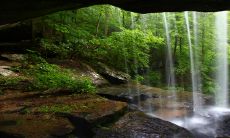 狗最适合与哪个生肖搭配？属马人的专一心态会与狗产生绝佳的默契！