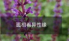 通过面相相助：如何提高异性缘及了解面相学的影响？