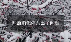 如何判断身体消化系统是否出现异常？可能存在的消化系统问题有哪些？