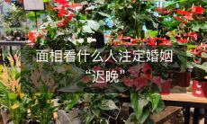 仔细观察面相,或可揭示婚姻状况或注定“迟晚”结婚的个人特征