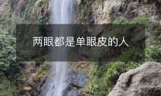 两只眼睛都拥有单眼皮特征的人群研究:探讨其可能的遗传因素和生理机制