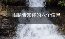 通过视觉说话：六种信息可以从眼睛中获取