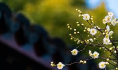 迎接立春日,可以开始进入新家生活嘛?在进新房时需要注意哪些讲究?