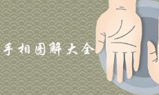 "全面详细解读手相图解：一个综合大全，包含详尽图解及解释，帮助您深入了解手相学的奥秘"
