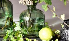 如何在家中选择放置旺木,以带来好运并增强生活质量?