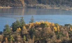 身体痣的位置盘点：哪些地方的苦情痣需要格外关注？