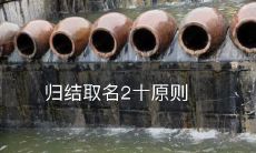 遵循二十条归结取名原则，提升品牌命名的精准性与效果