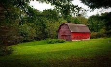 掌握先机,行动迅速的四大星座,你居然猜不到是哪几个?