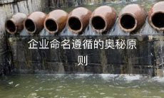 揭秘企业命名的神秘法则：遵循的原则、策略及其背后的逻辑！