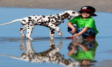 免费提供温柔好听用字的宝宝取名服务,适用于2023年1月2日出生的新生婴儿!