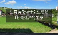 以生肖属兔为主体的最旺生意与最适合生意建议