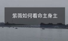 紫薇如何通过命主身主来分析个人命运?