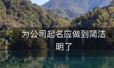在给公司命名时,应保持简洁明了,避免含糊不清或过于复杂的名称,以确保易于记忆和识别的成果